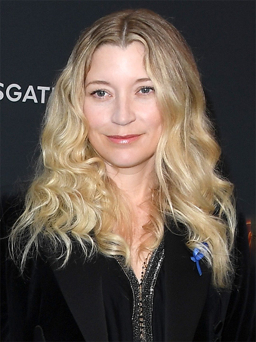 Sarah Roemer Actress