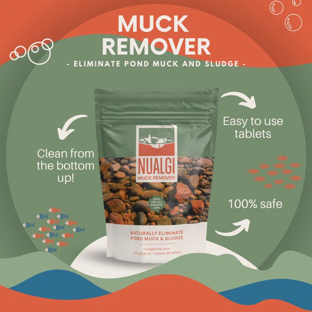 Ultimate Clear Pond Combo Nualgi Ponds