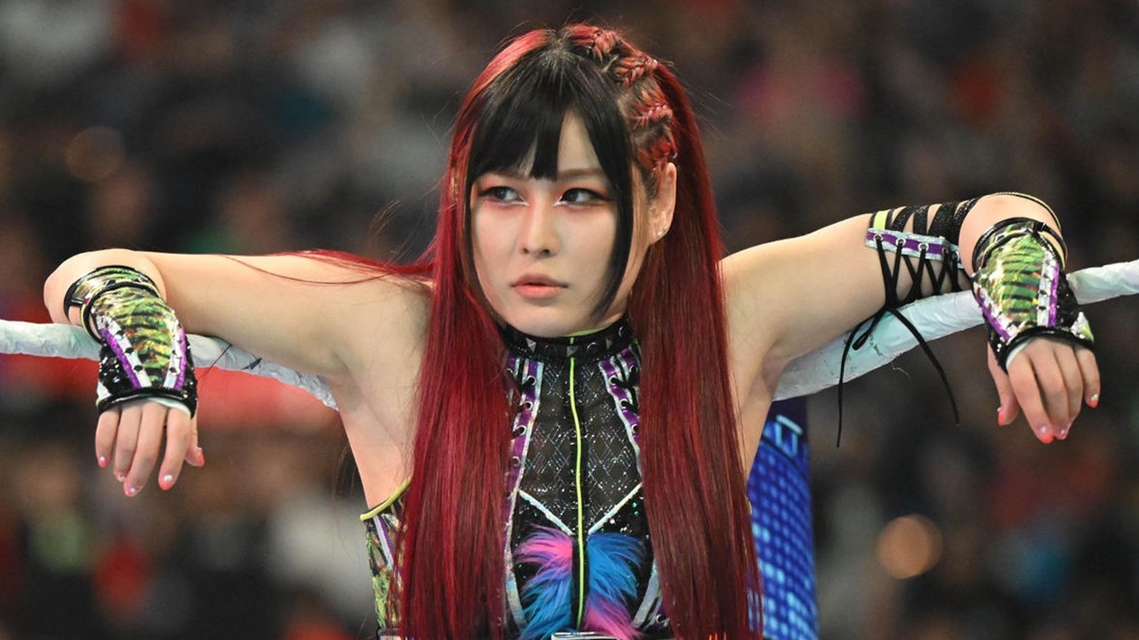 Top 10 Best Female Wrestlers In The World 2024 Green Academica