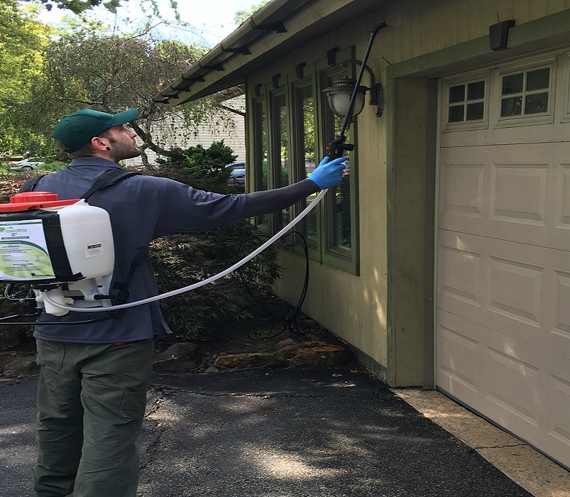 Highest Safety With Pest Control Singapore Nu Biz 4u