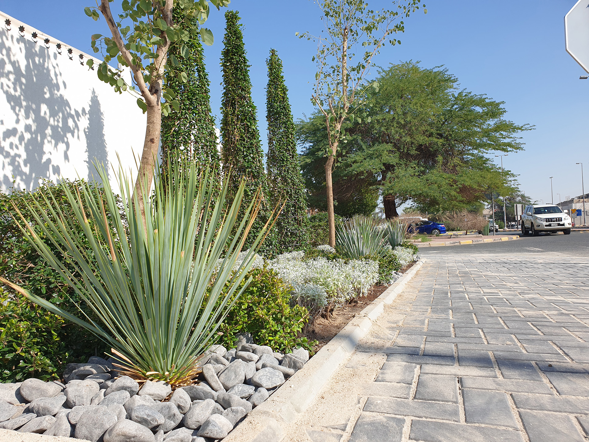 Landscape Design Kaifan NUC