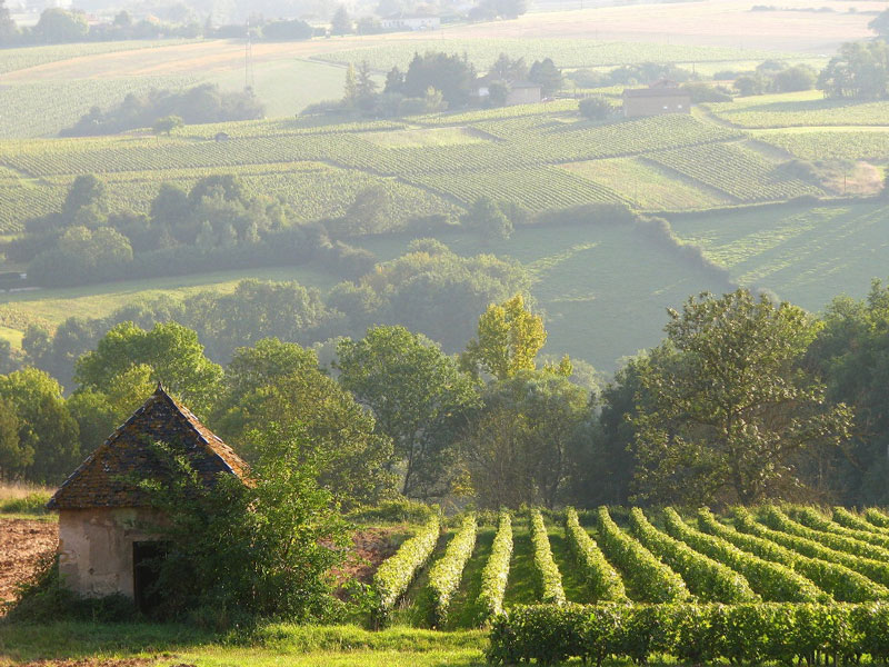 French Field Nuclear for Climate Australia