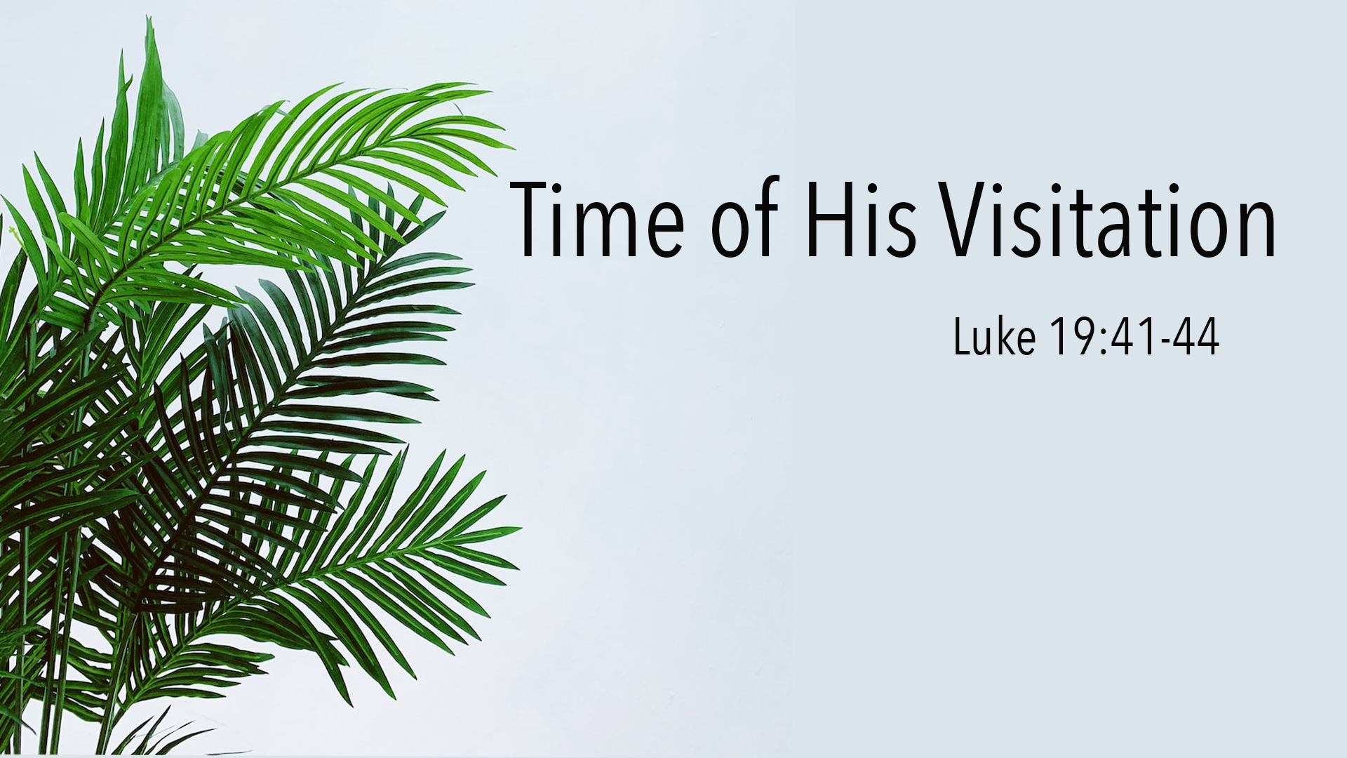 Time of His Visitation