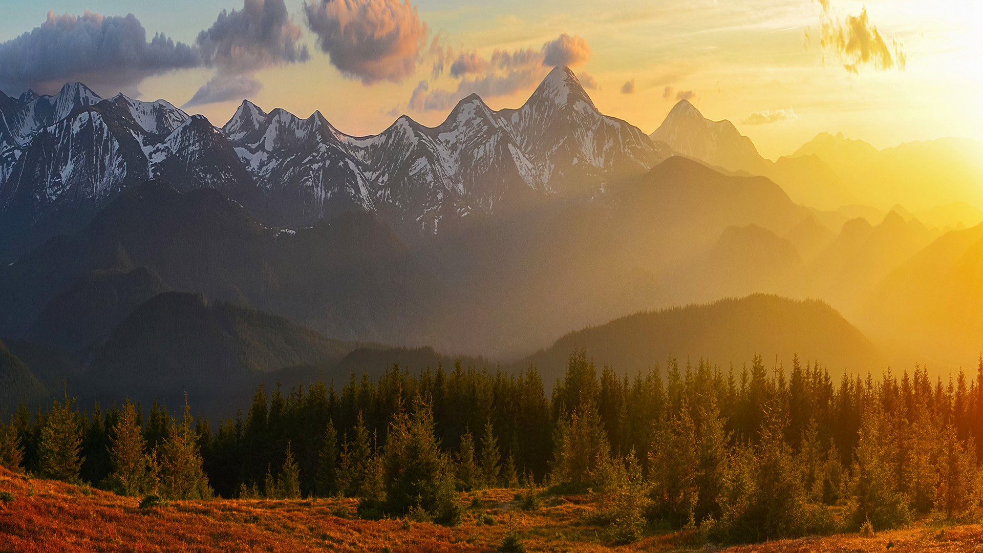 Maine Campus Town Crossword