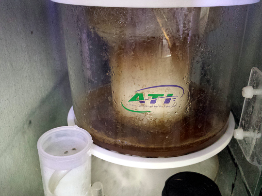 700L die Planung ist Abgeschlossen Seite 24 Aquarium