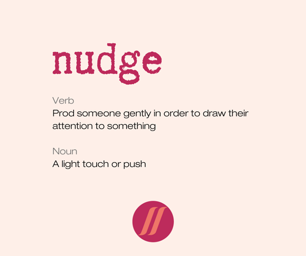 Leadership Coaching R I S E Programme Nudge Forward