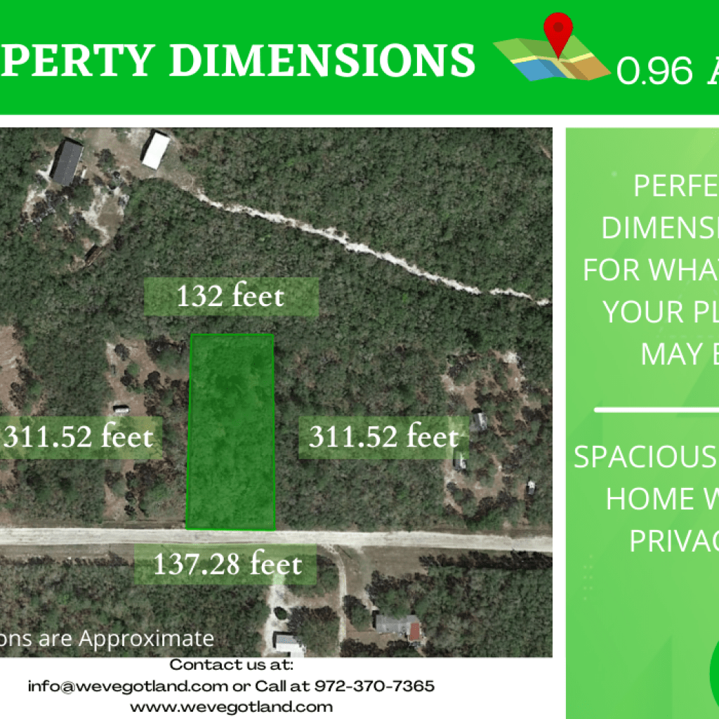 Almost 1 Acre property in Perry, FL Nuecosystems