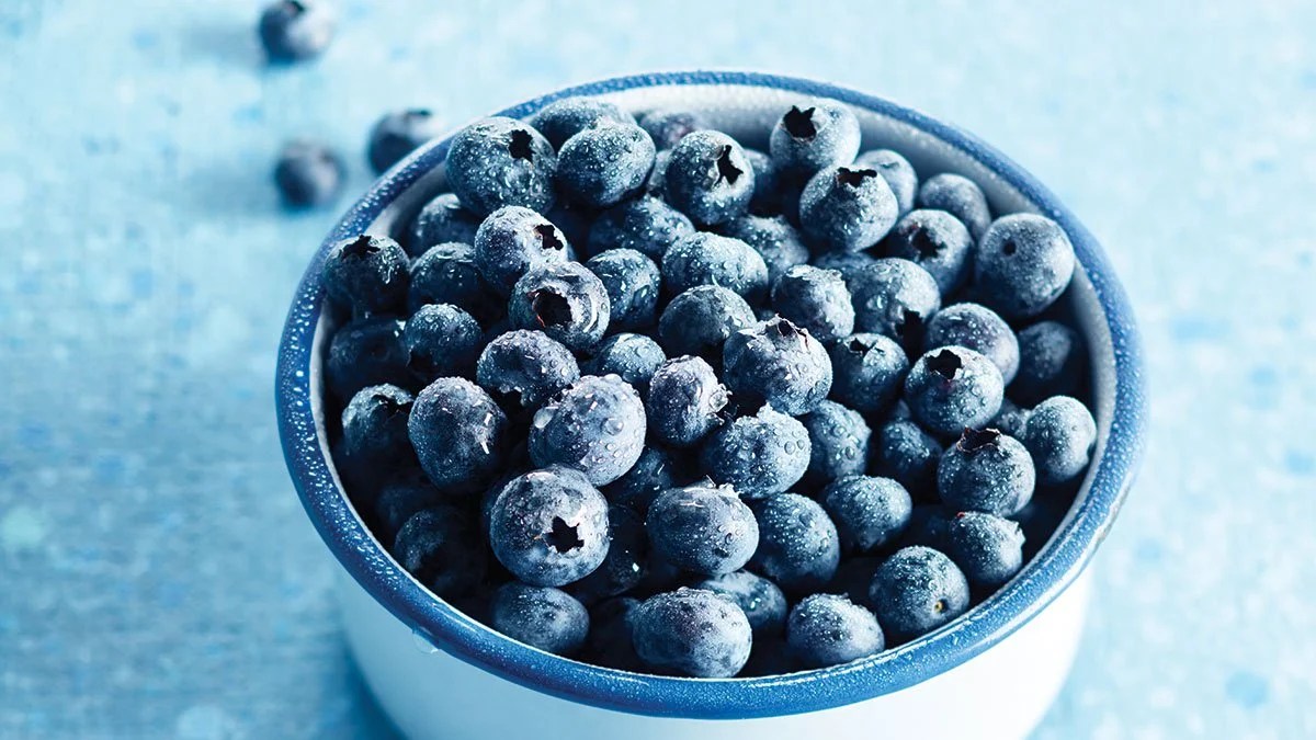 INI Farms to aid growth of blueberries in India FFOODS Spectrum