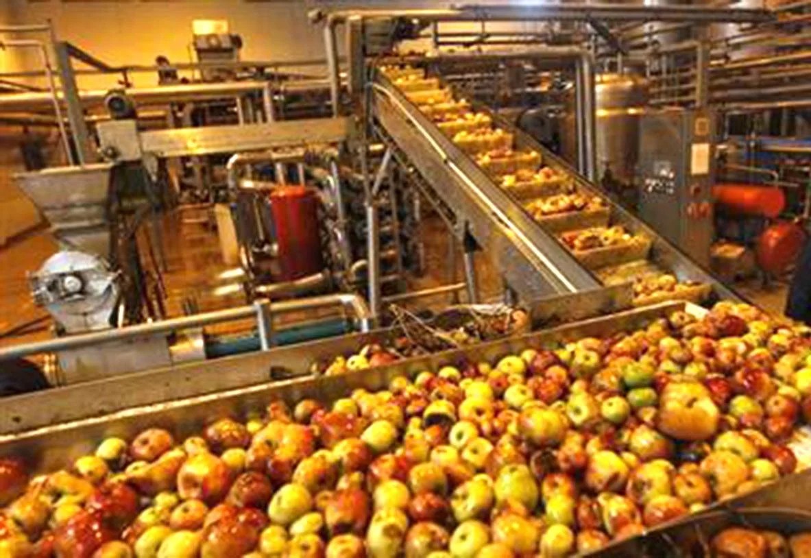 Ireland plans collaboration with India for food processing FFOODS