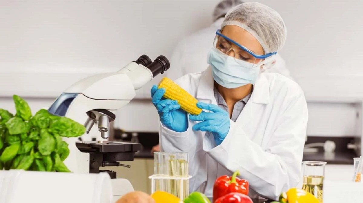 IMCD opens new food application laboratory in Germany FFOODS Spectrum