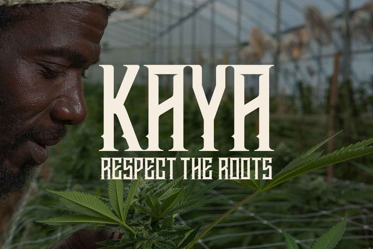 Kaya Herb House, Making History » Dispensaries