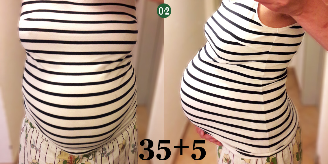35+5 Ssw Quotes Update Here