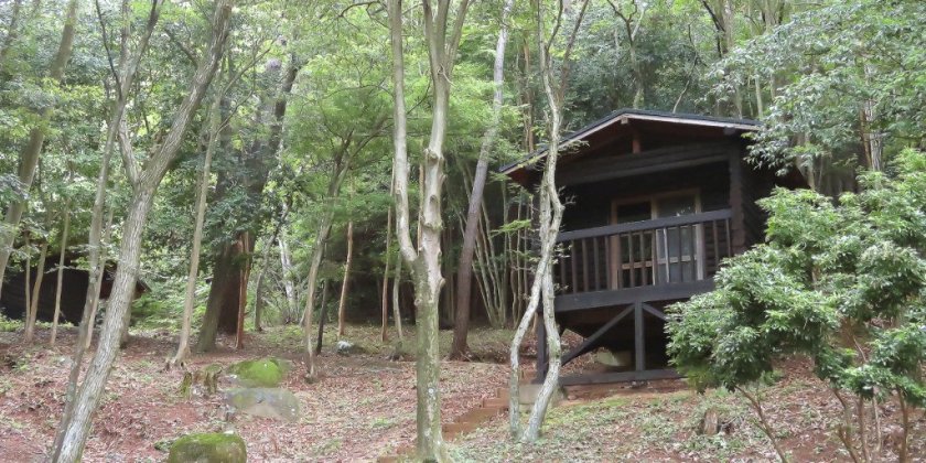 無料で楽しめる森の中のキャンプ場（市民の森）｜特集ライブラリー｜沼津市公式観光サイト【沼津観光ポータル】