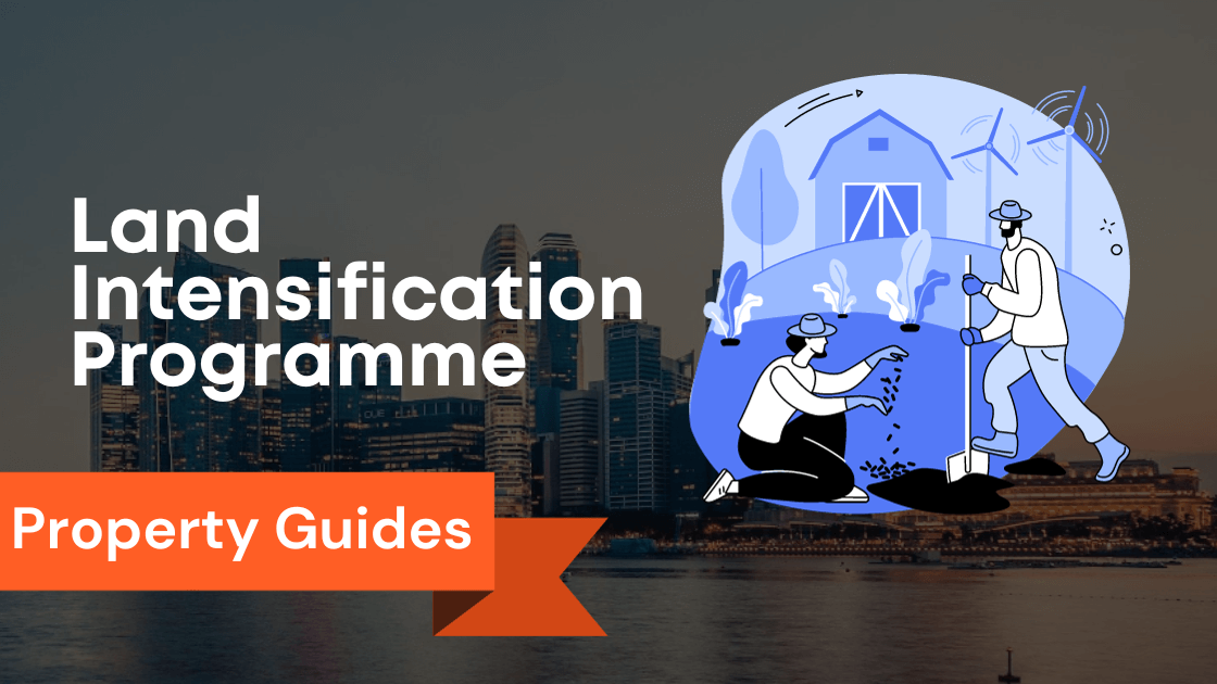 Land Intensification Programme Land Intensification Allowance