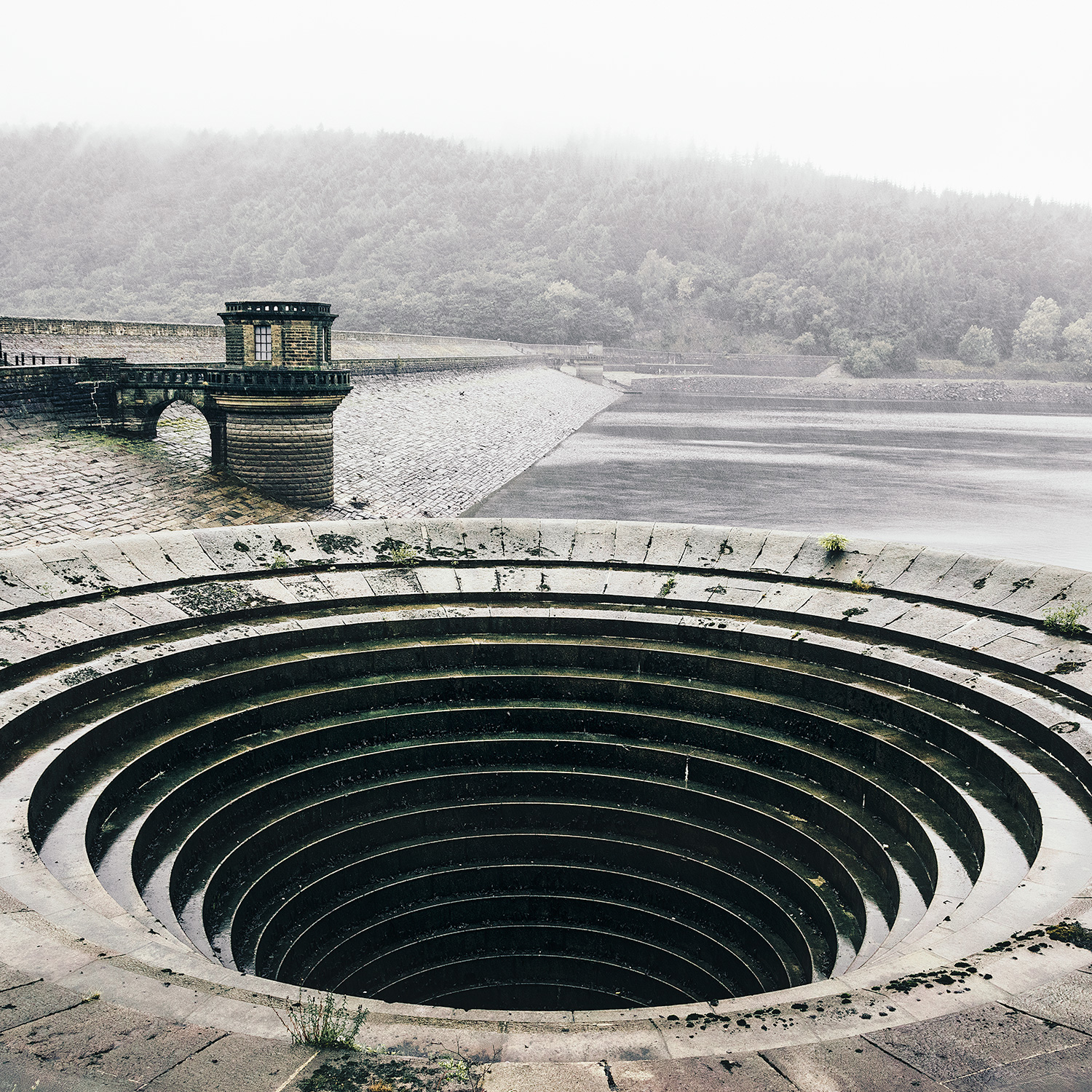 Severn Trent Water Numeritas