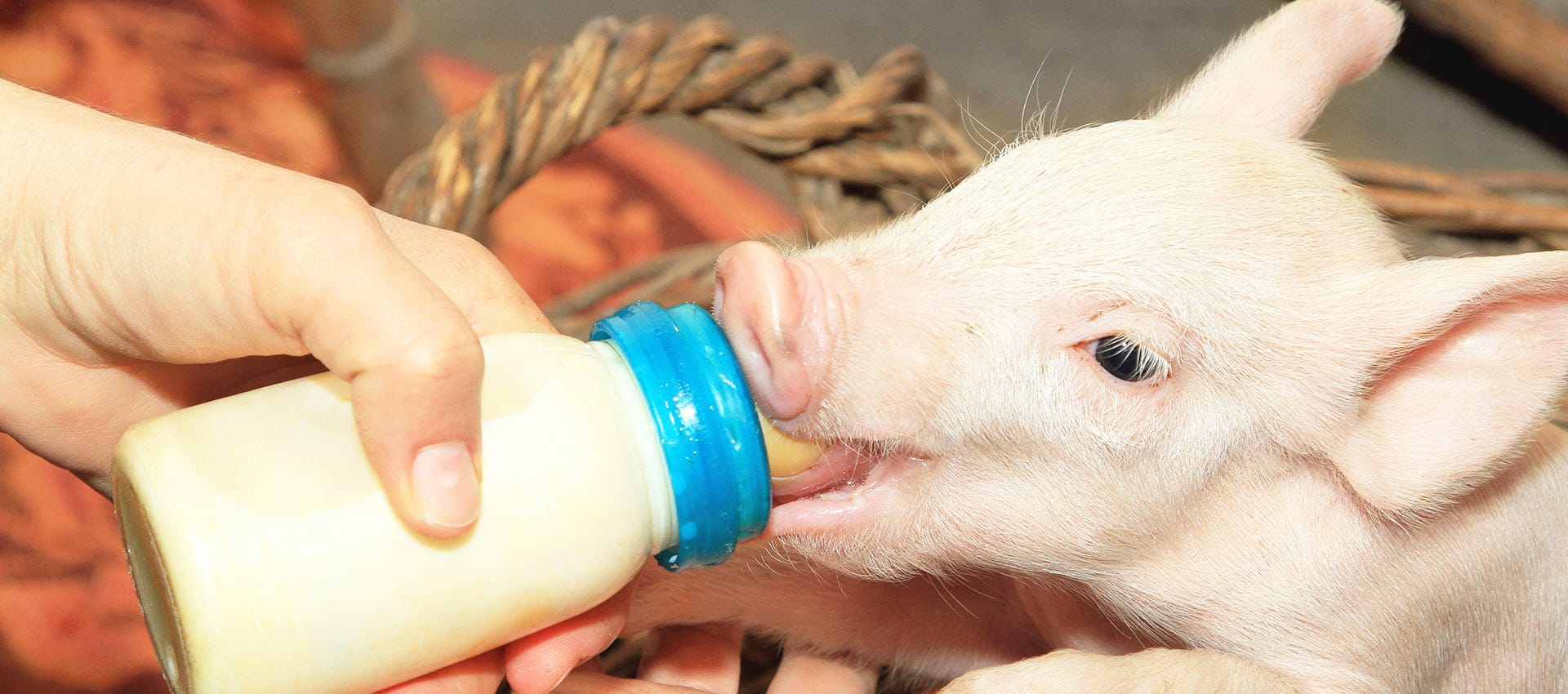 PRODUCT APPLICATIONS Numidia Your expert partner in dairy