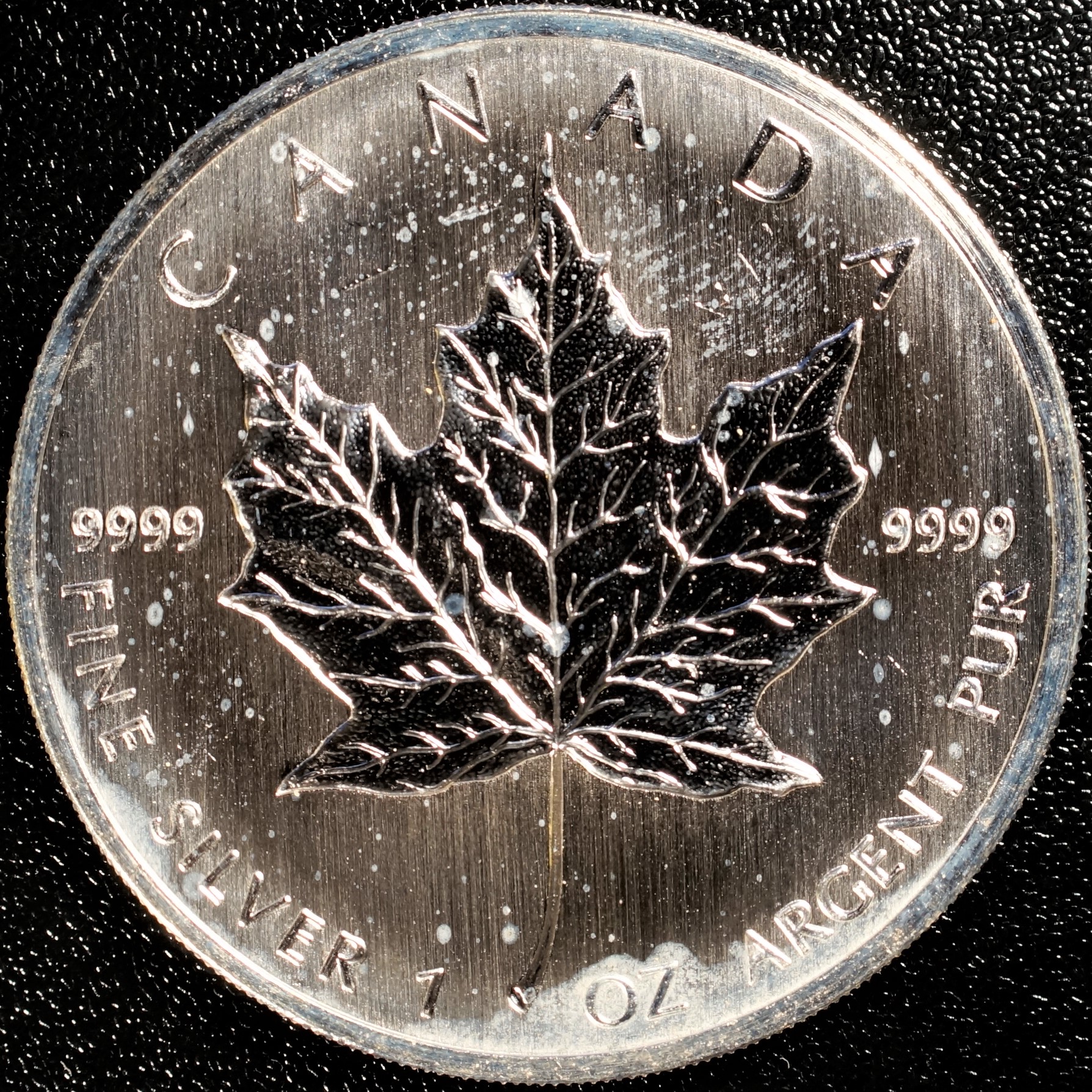 2008 Silver 5 Canadian Maple Leaf .9999 Numismax