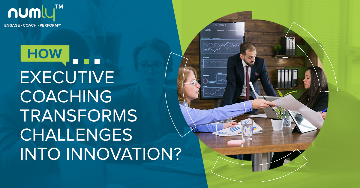 Emotional Intelligence in Leadership Growth and Coaching