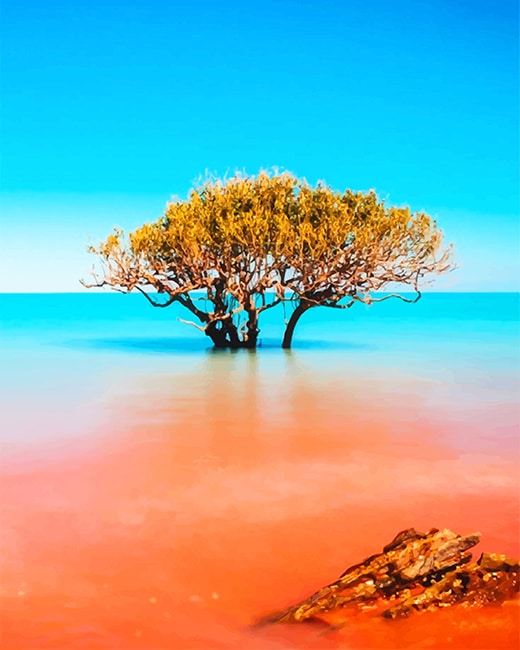 Kimberley Broome Australia Paint By Numbers Num Paint Kit