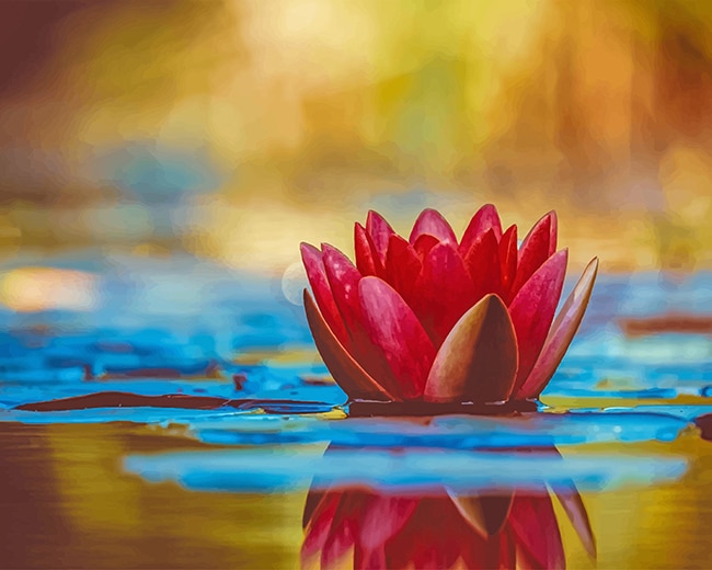 Lotus In The Water Plants Paint By Numbers NumPaint Paint by numbers