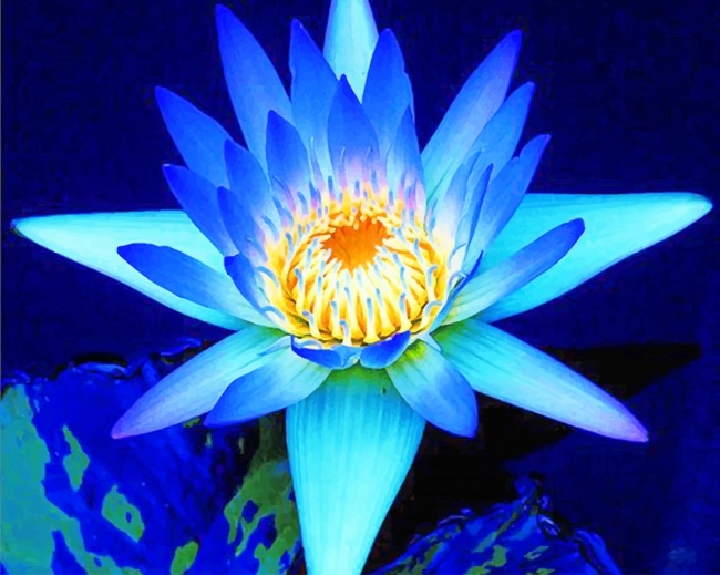 Blue Lotus Flowers Paint By Number Num Paint Kit