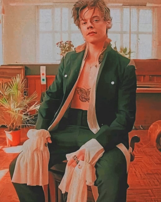 Harry Styles Singers Paint By Numbers Paint by numbers