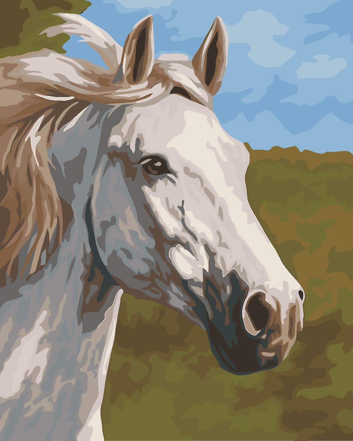 Thoroughbred White Horse Paint By Number NumPaint Paint by numbers