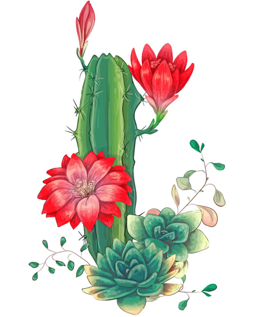 Succulents And Red Roses Paint By Number Num Paint Kit