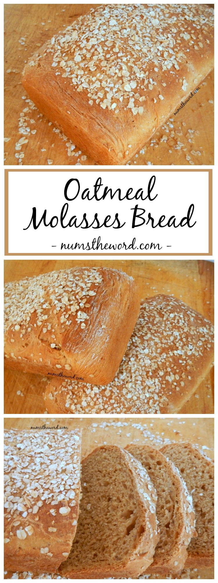 Oatmeal Molasses Bread Num's the Word