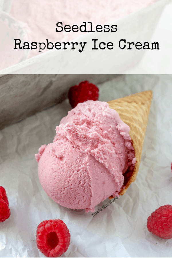 Homemade Raspberry Ice Cream Recipe Num's the Word