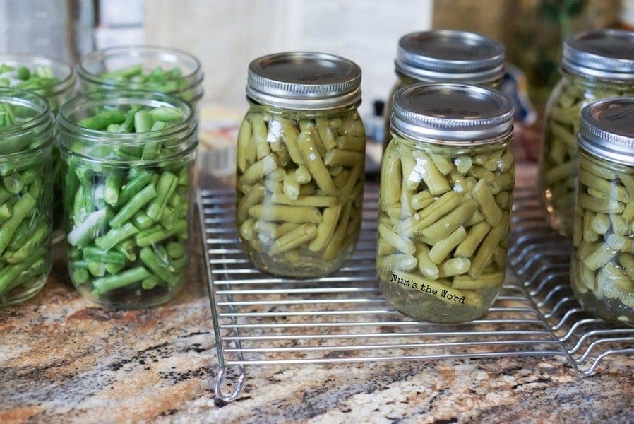 Canning Green Beans - Num's The Word