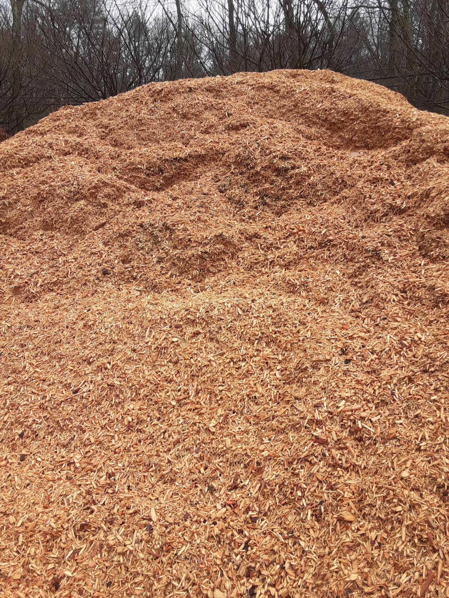 Mulch Playground Nunan Florist and Greenhouses