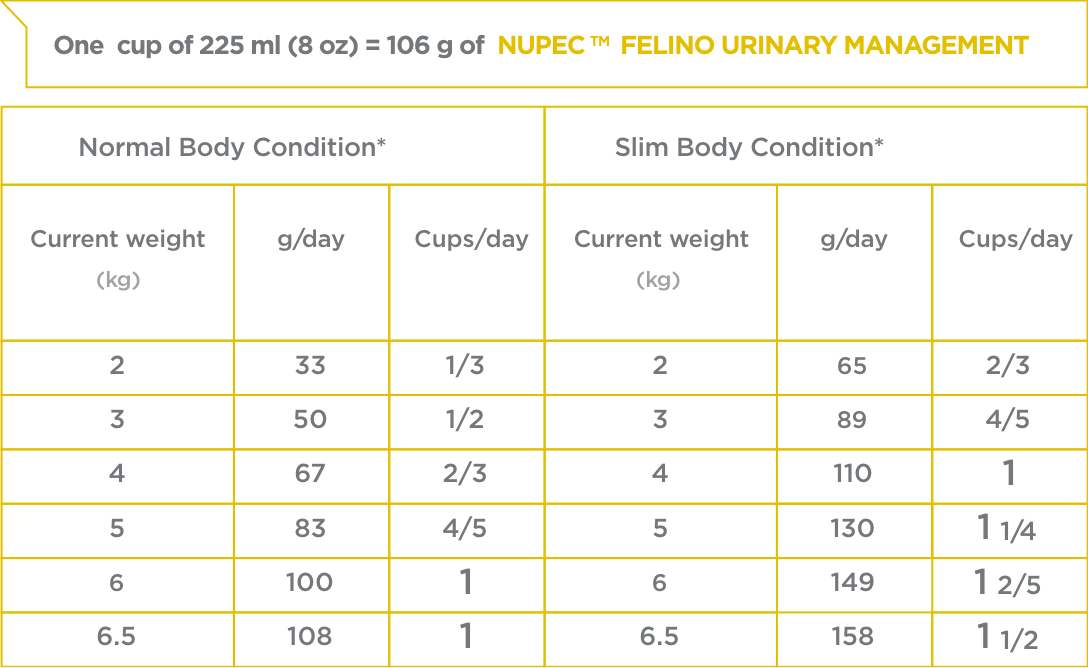 FELINO URINARY MANAGEMENT NUPEC