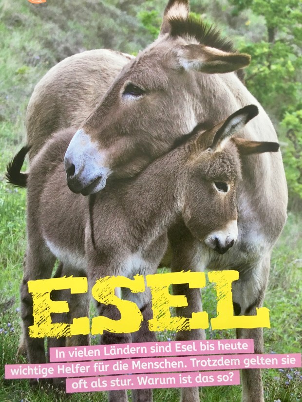 GEO mini Nurnocheinbisschen...
