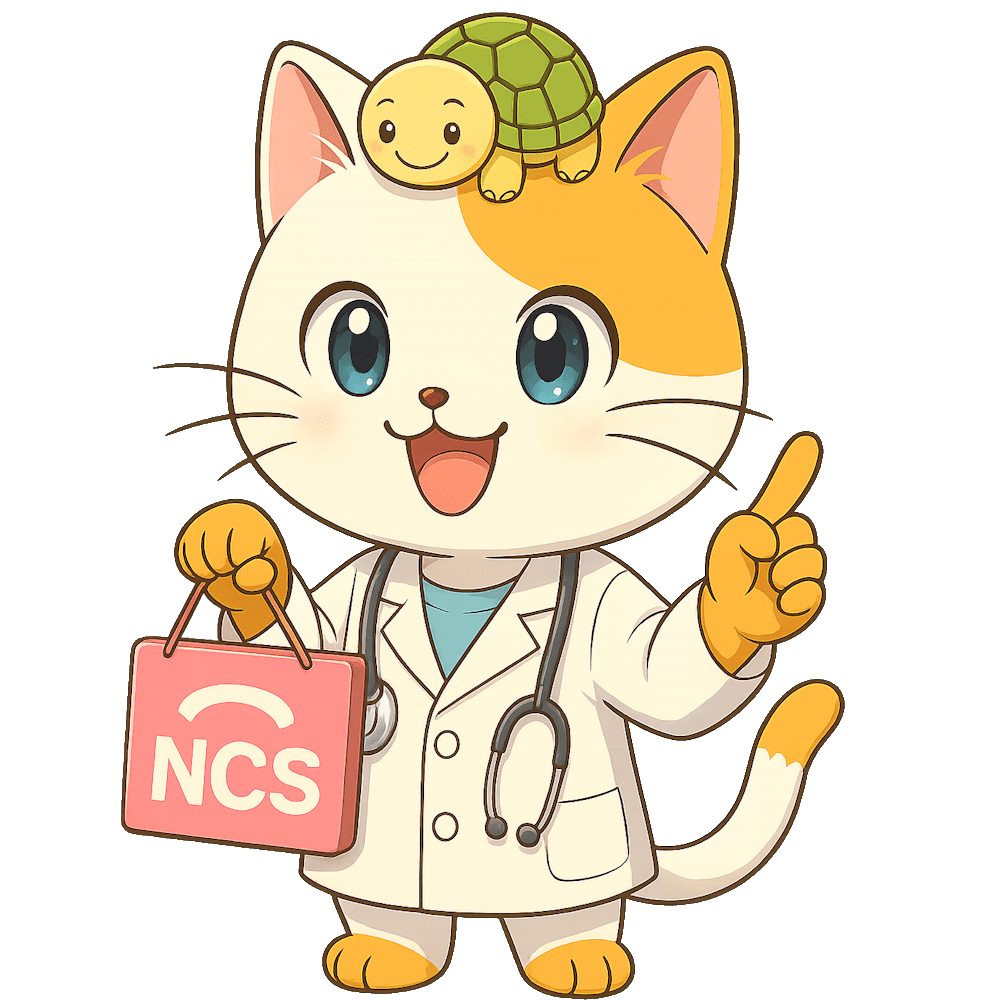 看護研究の学会発表を成功させる方法：初心者から上級者まで完全ガイド カンサポ 看護過程や実習記録を高品質に作成支援