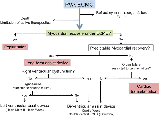 Indications and Physiopathology in Venoarterial ECMO | Nurse Key