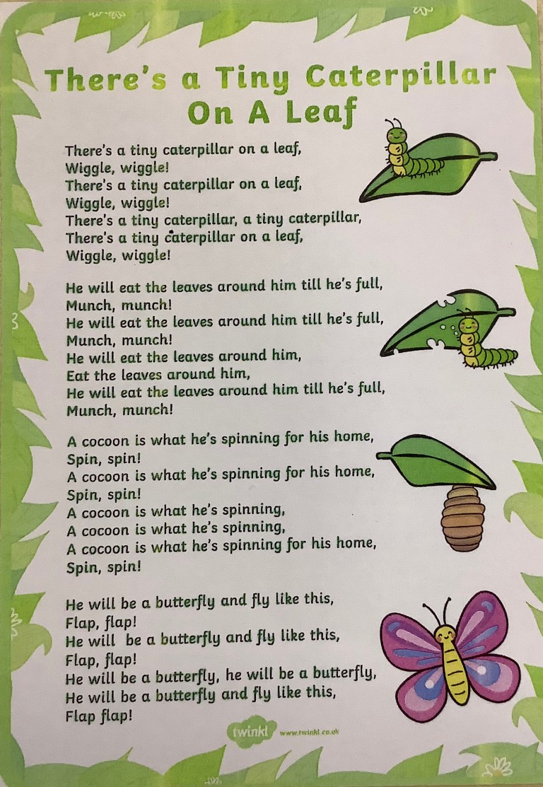 There’s a Tiny Caterpillar on a leaf Rhyme Nursery Blog