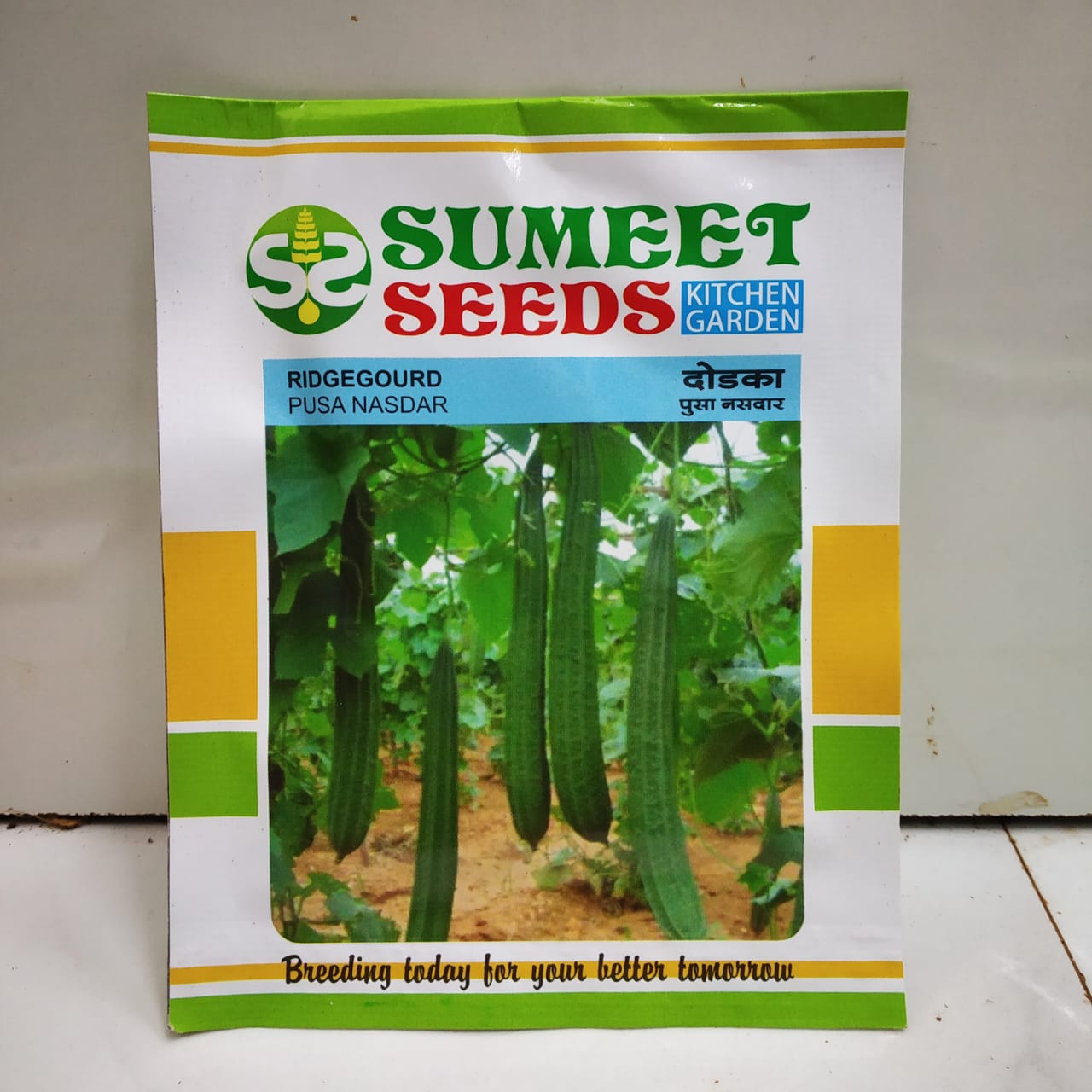 Exotic Vegetable Seeds Combo of 12 Packets. Nursery Buy