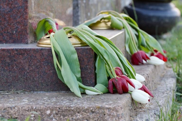 Why Are My Tulips Drooping? (Possible Problems+Solution)