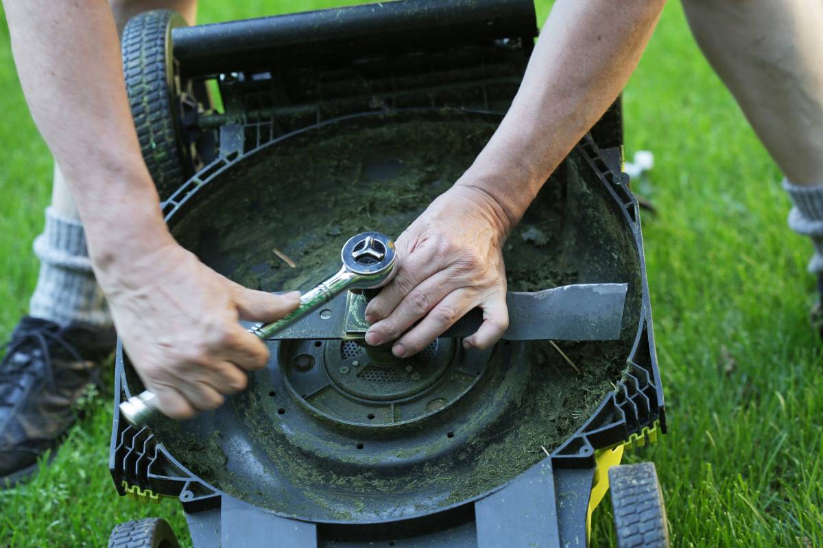How Often Should Lawn Mower Blades Be Changed? (+Mistakes To Avoid)