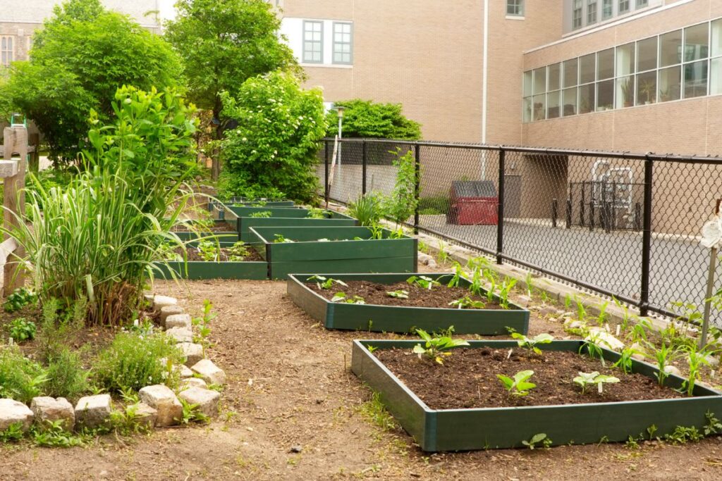 12 Ways To Keep Animals Out Of Raised Garden Beds? (Pet+Wild Animals)