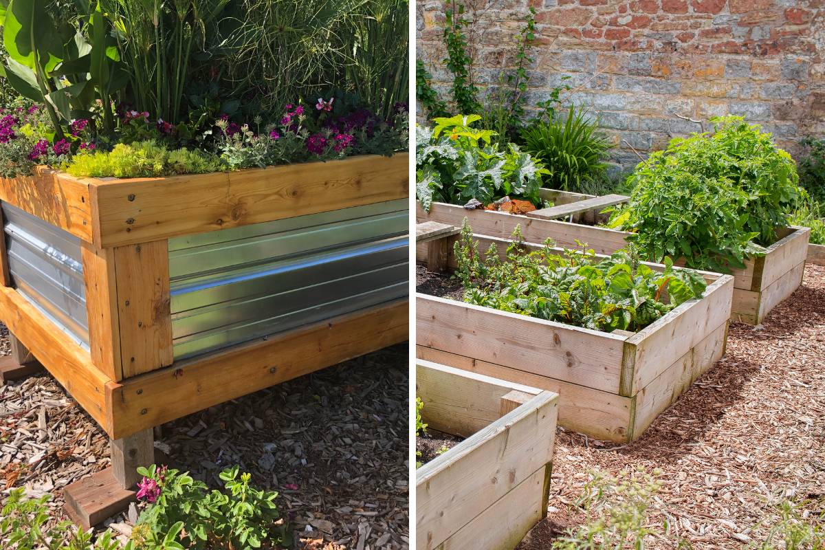 Galvanized Raised Bed Vs. Wood Raised Bed Which One Is Best For You