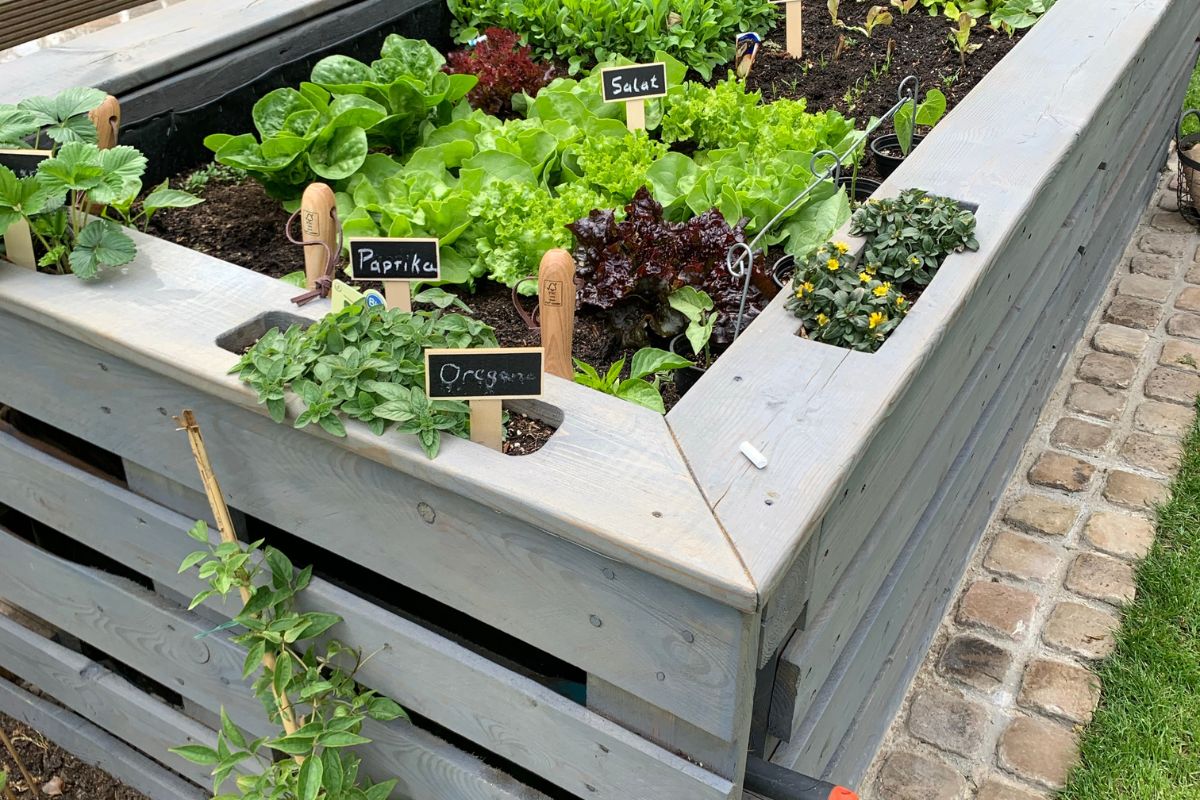 7 Effective Ways To Get Rid Of Bugs Eating Garden Plants