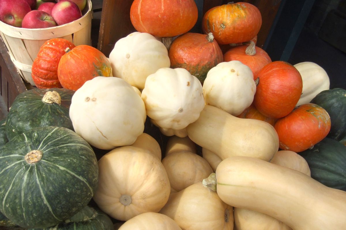 How Far Apart To Plant Squash In A Raised Bed? (+9 Mistakes To Avoid)