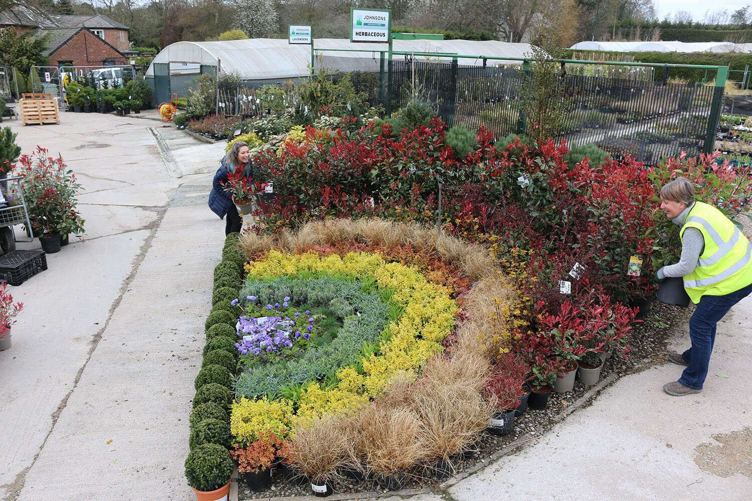 Creating a rainbow of plants for hope with Garden Designer Helen Taylor