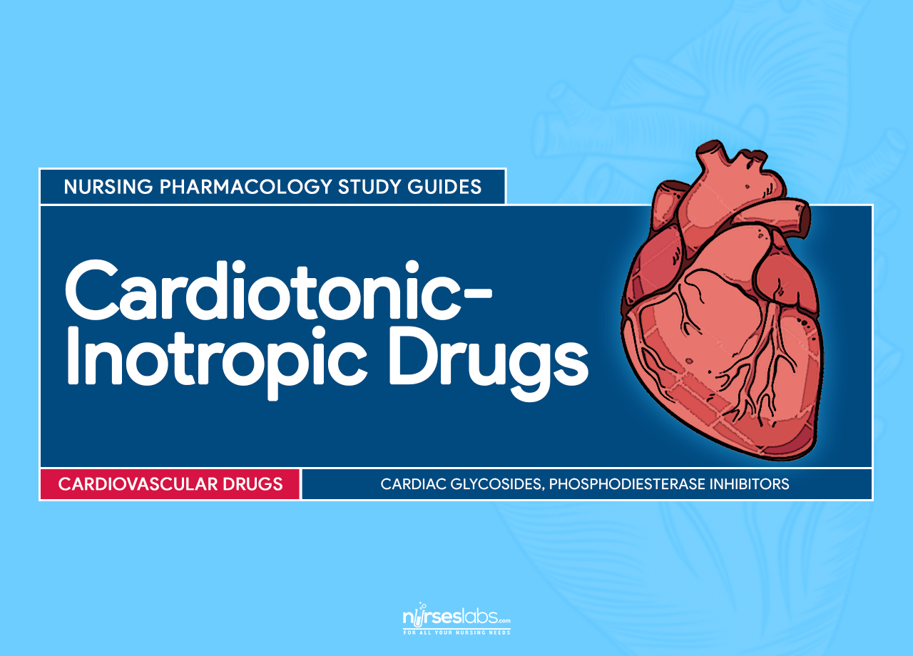 CardiotonicInotropic Drugs Nursing Pharmacology Study Guide