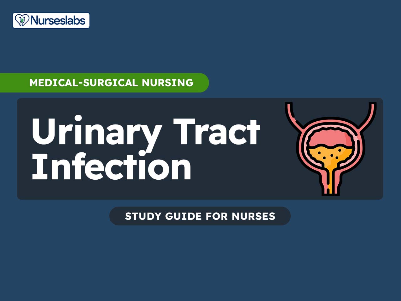 Urinary Tract Infection: Nursing Care and Management Study Guide
