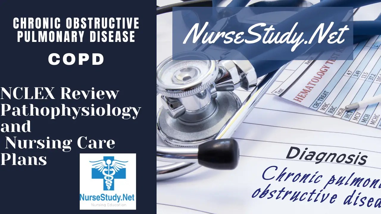 Chronic Obstructive Pulmonary Disease COPD Nursing Care Plans Diagnosis