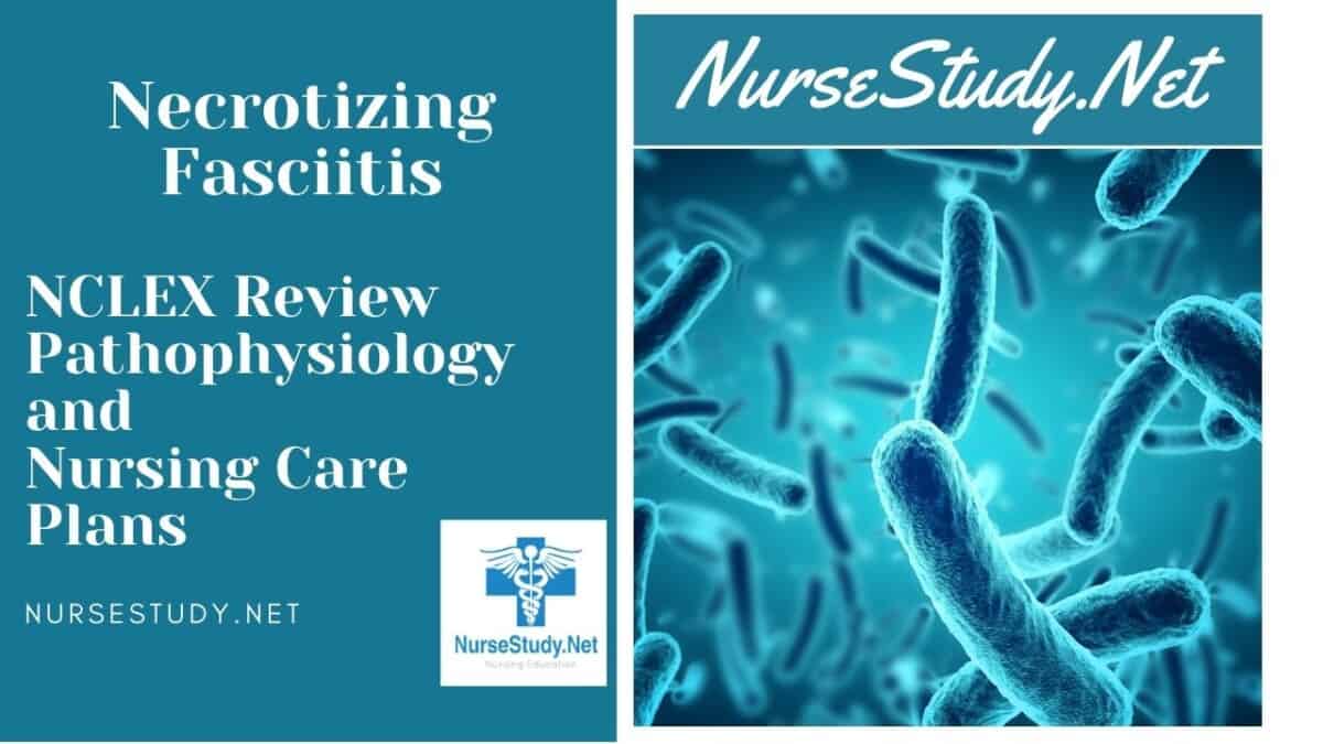Necrotizing Fasciitis Nursing Care Plans Diagnosis and Interventions