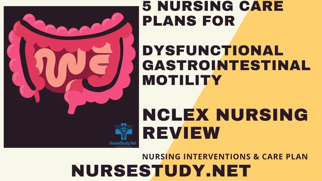 Dysfunctional Gastrointestinal Motility Nursing Diagnosis and Nursing